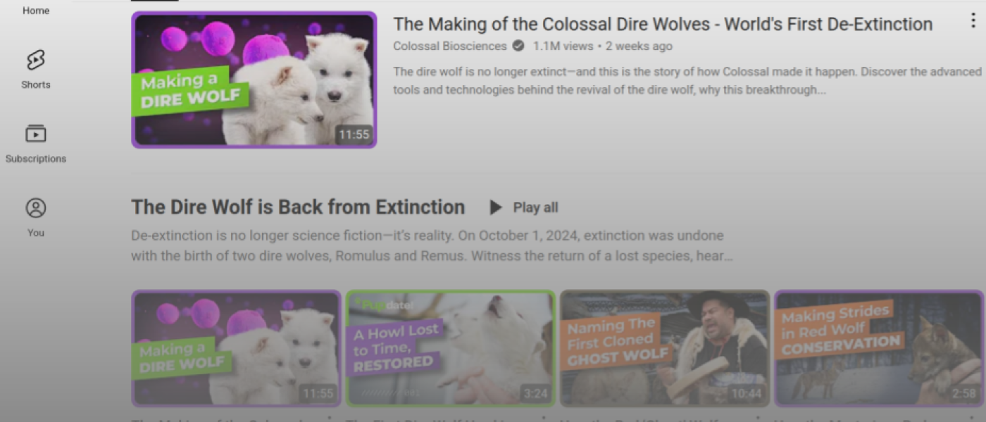 Dire Wolves – Colossal Biosciences Has A Great Youtube Channel