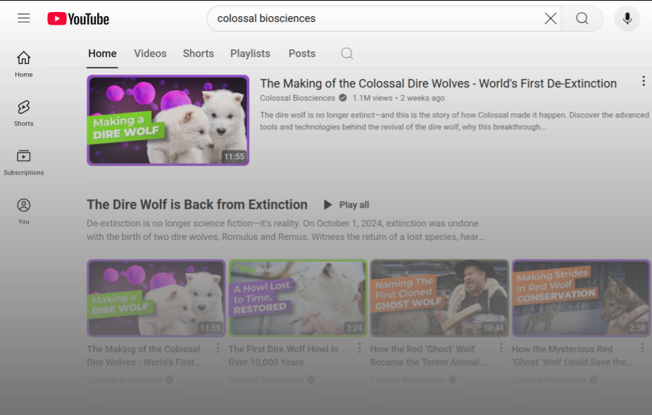 Dire Wolves – Colossal Biosciences Has A Great Youtube Channel