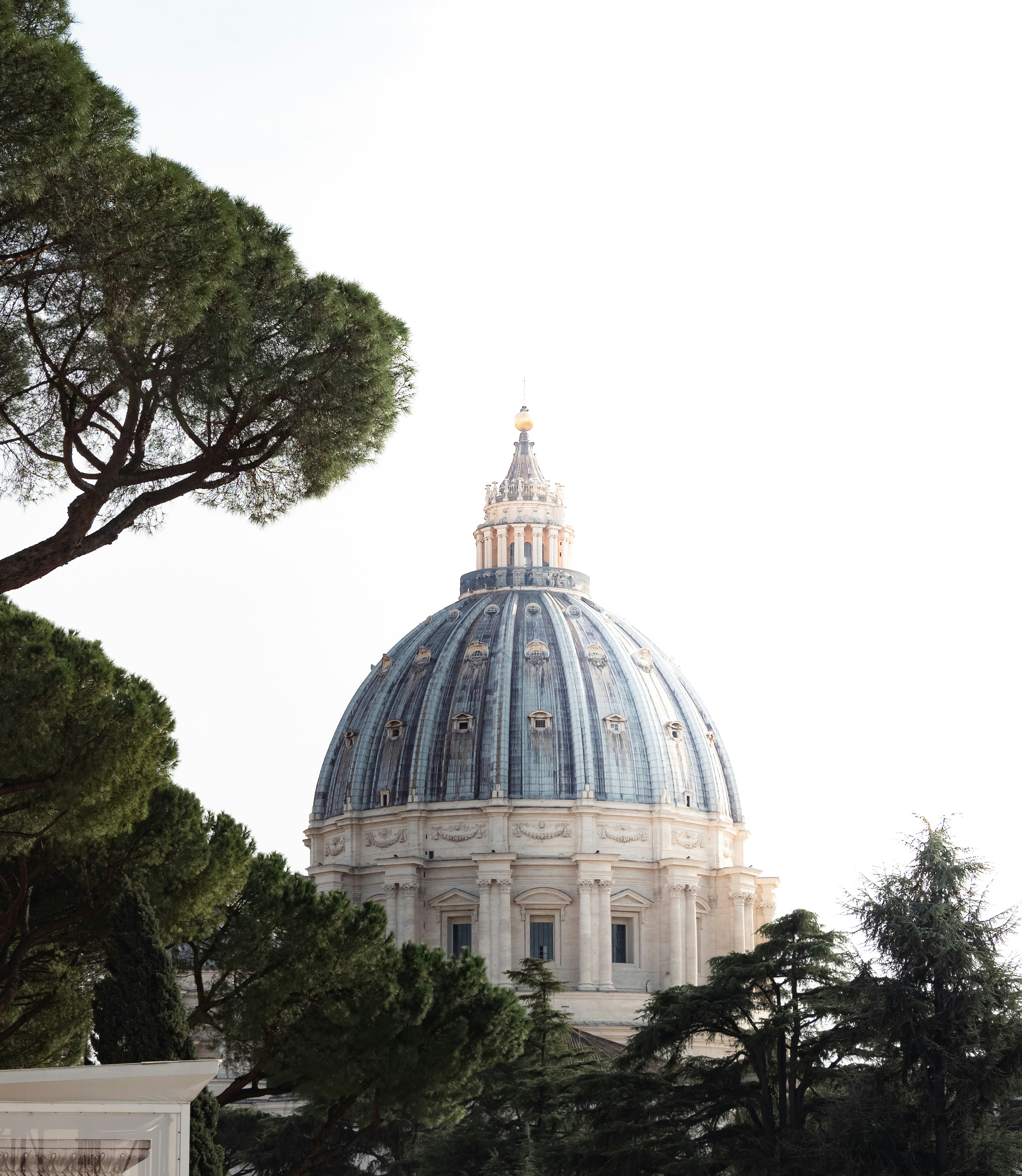 Pope Francis Laid to Rest Following Days of Mourning in Vatican City