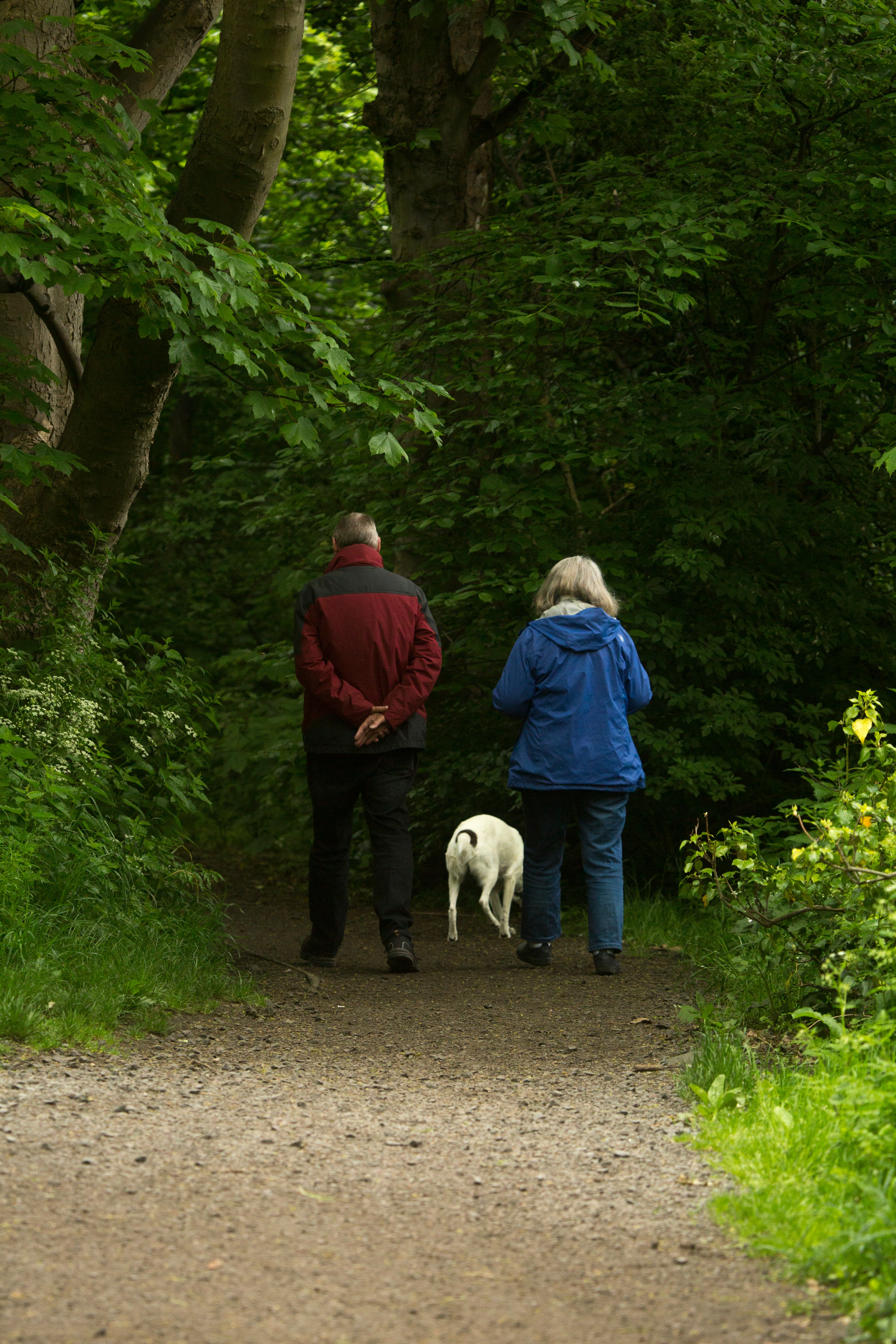 A couple out for a walk