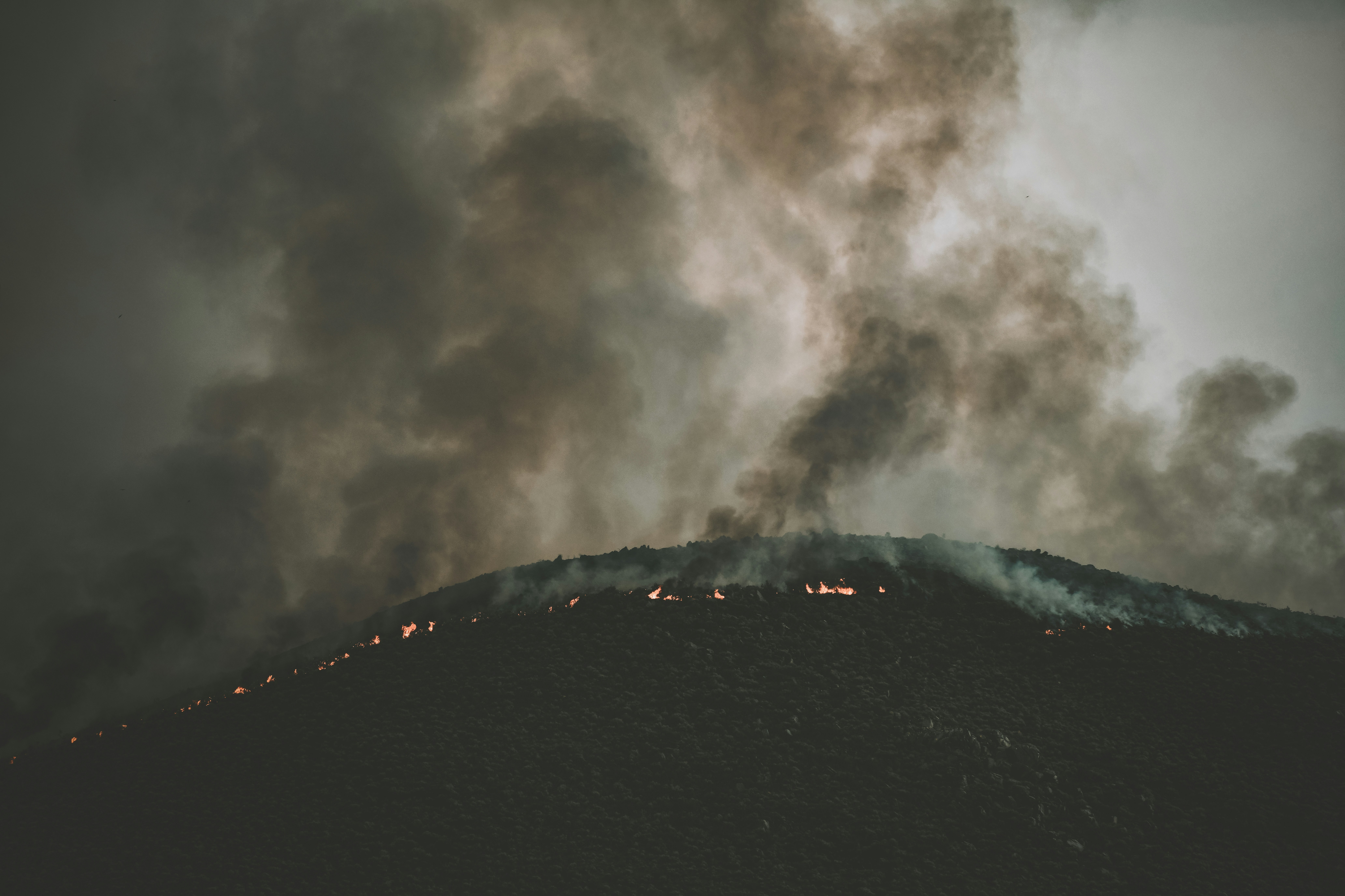 A wildfire spews smoke into the sky
