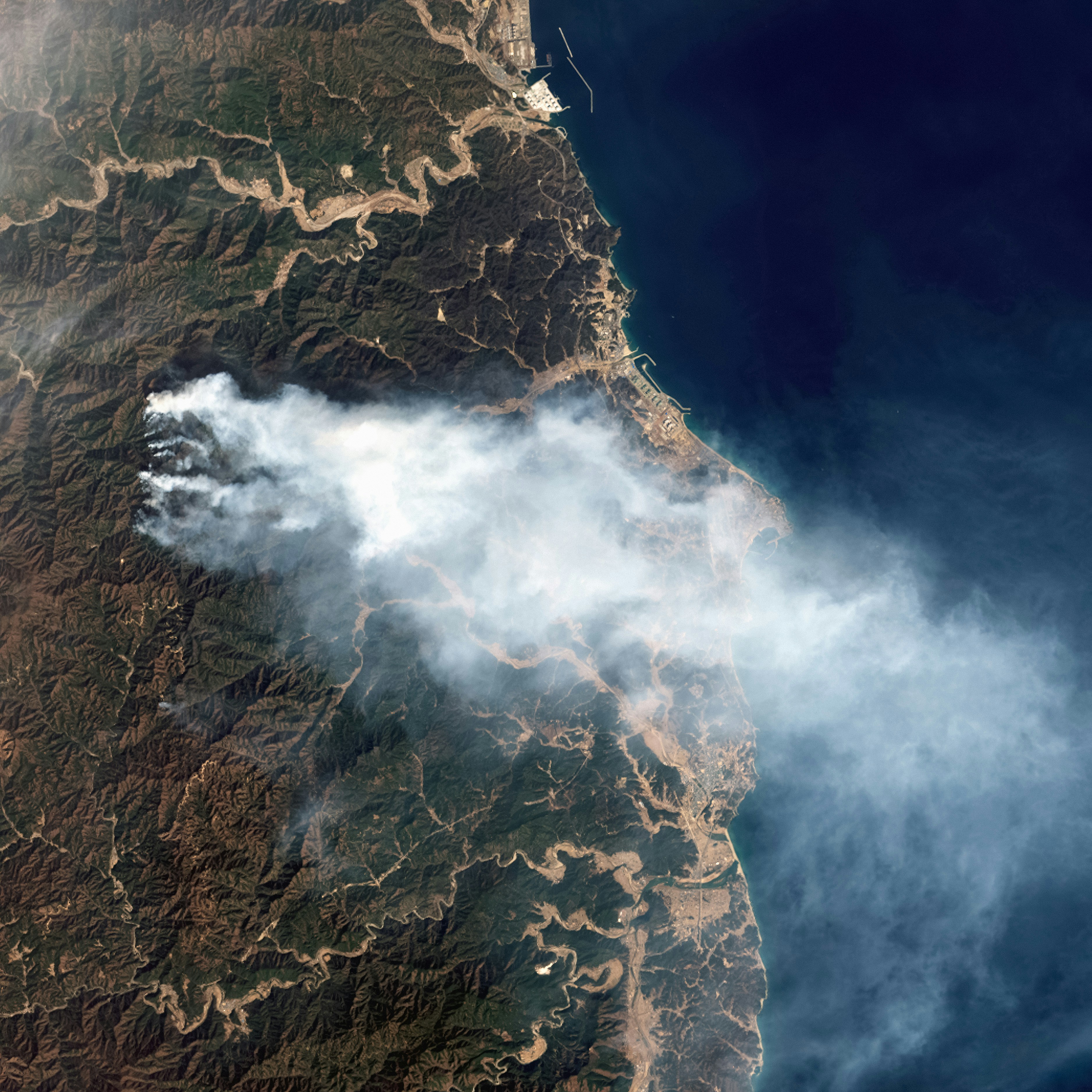 A wildfire seen from an aerial view