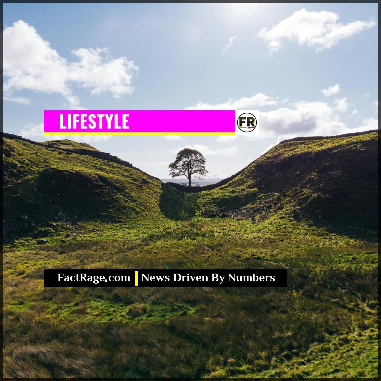 Sycamore Gap’s Legacy: How a Community Is Rebuilding from a Fallen Landmark